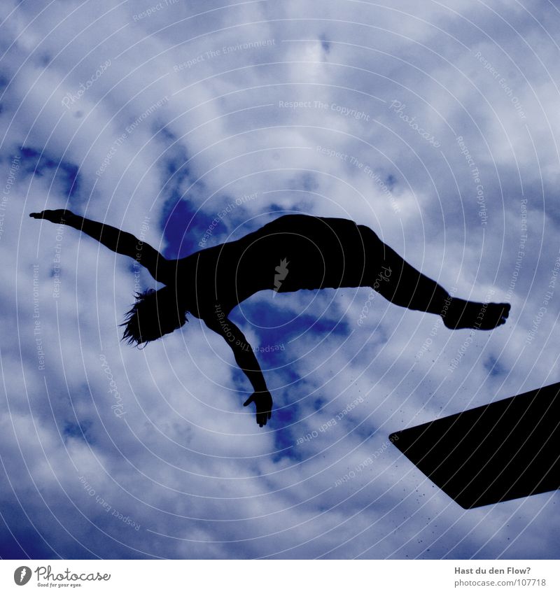 penguin Penguin Jump Springboard Pants Tasty Beautiful Clouds Silhouette Summer 5 3 Hover Salto Backwards Back somersault Open-air swimming pool Swimming pool