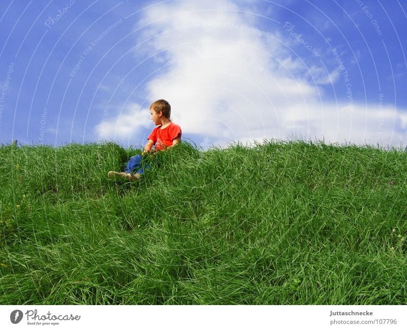 The best overview Green Red Grass Child Boy (child) Vantage point Completed Top T-shirt Contentment Break Clouds Worm's-eye view Ramp up Success Blue