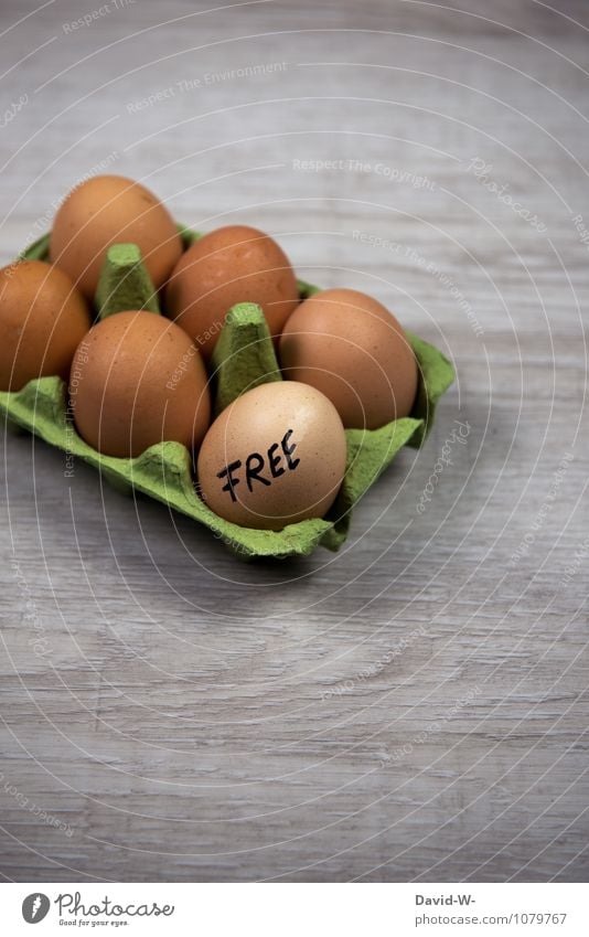 FREE-RANGE FARMING Food Breakfast Organic produce Shopping Healthy Health care Healthy Eating Life Well-being Contentment Easter Gastronomy Human being Free