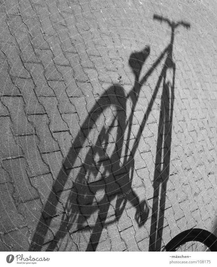 shadow wheel Bicycle Black White Crank Pedal Bar Fork Brick Furrow Driving Stay Stagnating Cycle race Playing Extreme sports Shadow dirt street