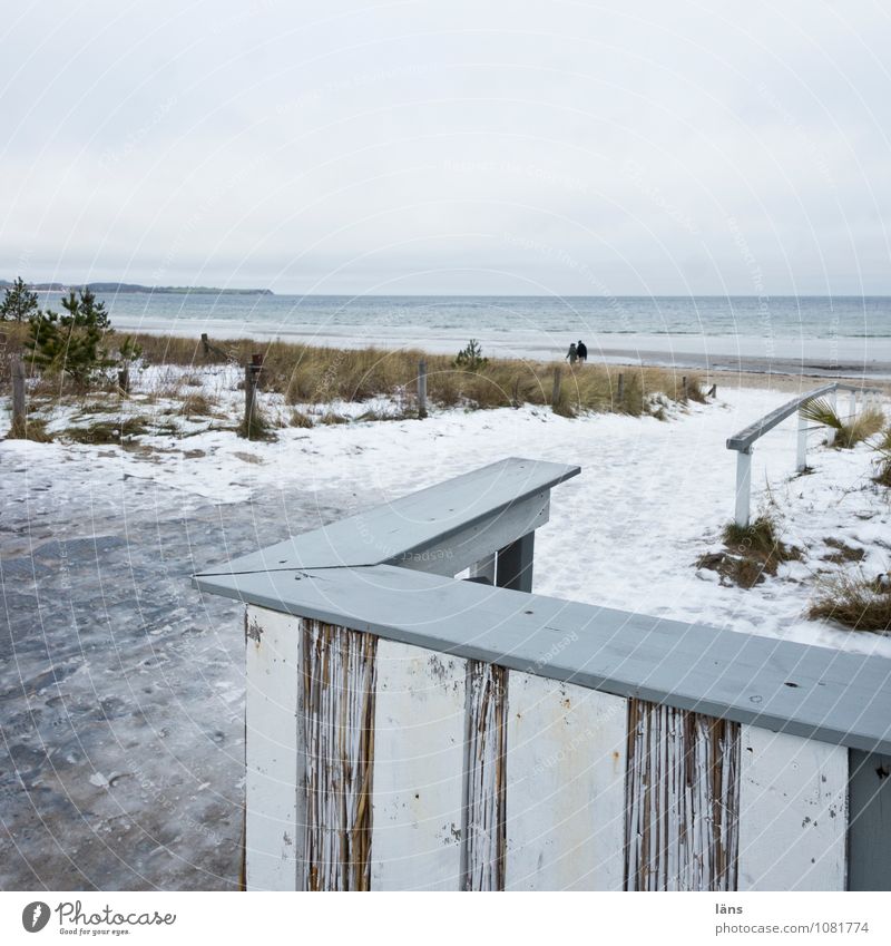 Thoughts can draw Beach Baltic Sea Snow Cold Frost Sky Relaxation