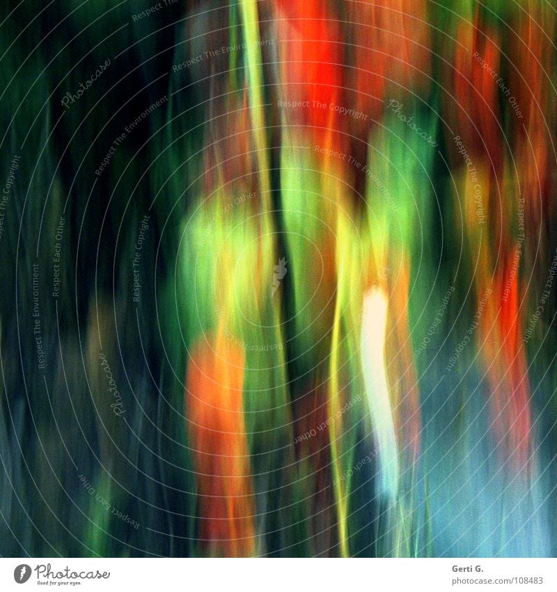 impression Physalis Foliage plant Washed out Art Multicoloured Painting and drawing (object) Red Brown Green Black Camp follower Long exposure Colour Blur Image