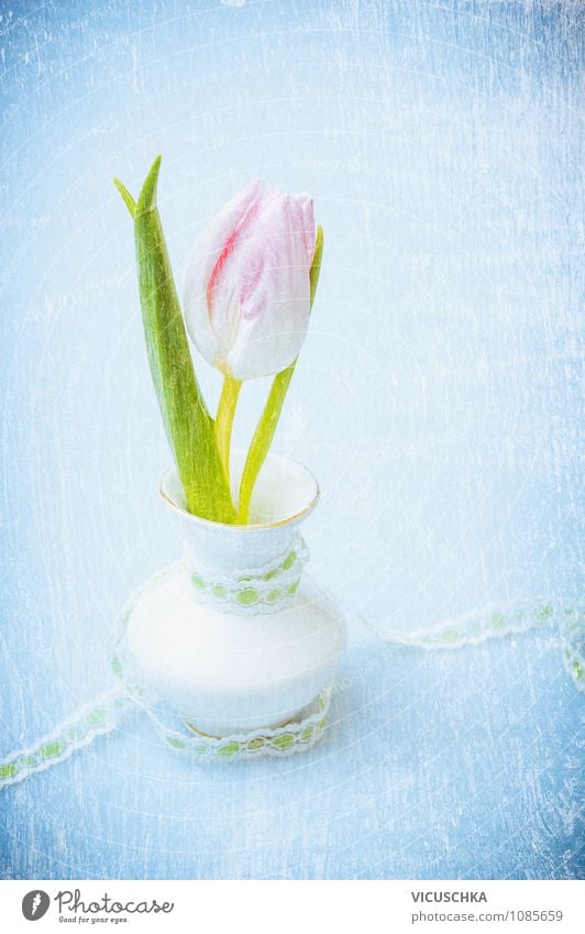Pink tulip in small vase on blue Style Design Life Dream house Garden Interior design Decoration Table Feasts & Celebrations Valentine's Day Mother's Day Easter