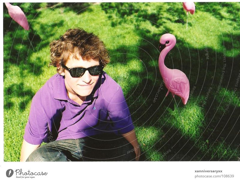 Andy Flamingo Pink Jump Physics Decoration grass boy purple bright happiness Warmth Exterior shot