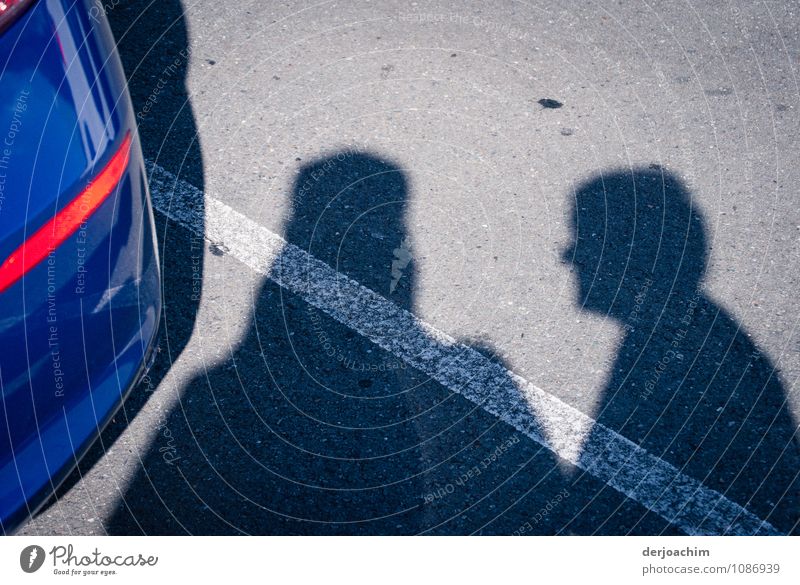 Meeting in a parking lot. Two shadows, in the middle a white stripe and on the left the back of a blue car. Joy Calm Masculine Senior citizen Body 2 Human being