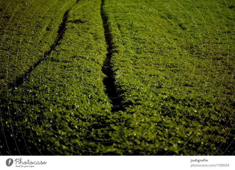acre Field Green Sowing Hill Waves Agriculture Brown Tracks Traffic lane Colour Harvest Line Earth Floor covering trekker Tractor track