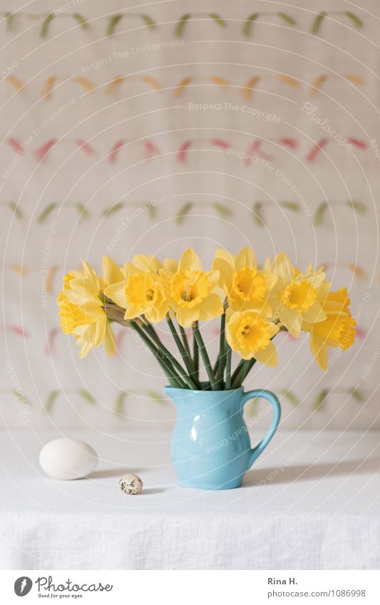 No. IV Lifestyle Easter Flower Blossoming Illuminate Bright Blue Yellow Joie de vivre (Vitality) Spring fever Still Life Vase Tablecloth Narcissus Egg
