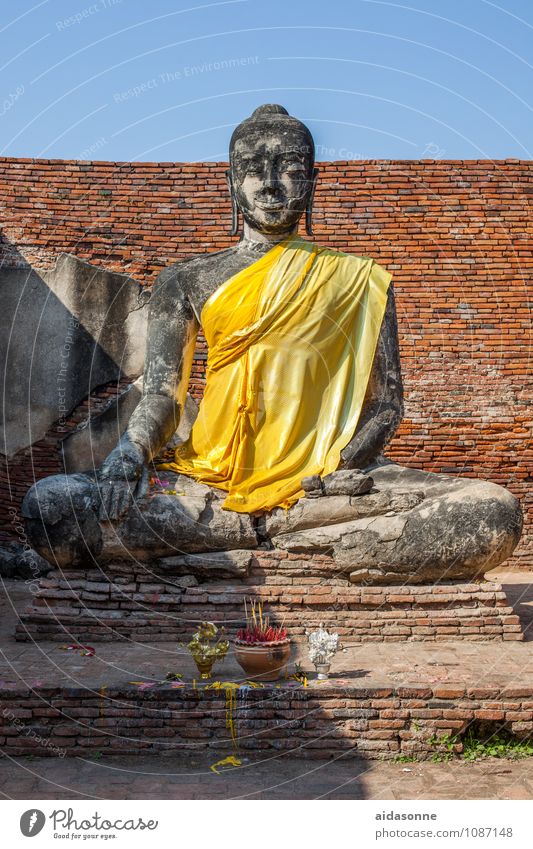 Buddha Work of art Sculpture Culture Emotions Contentment Self-confident Peaceful Caution Serene Wisdom Fairness Colour photo Deserted Day Sunlight Looking