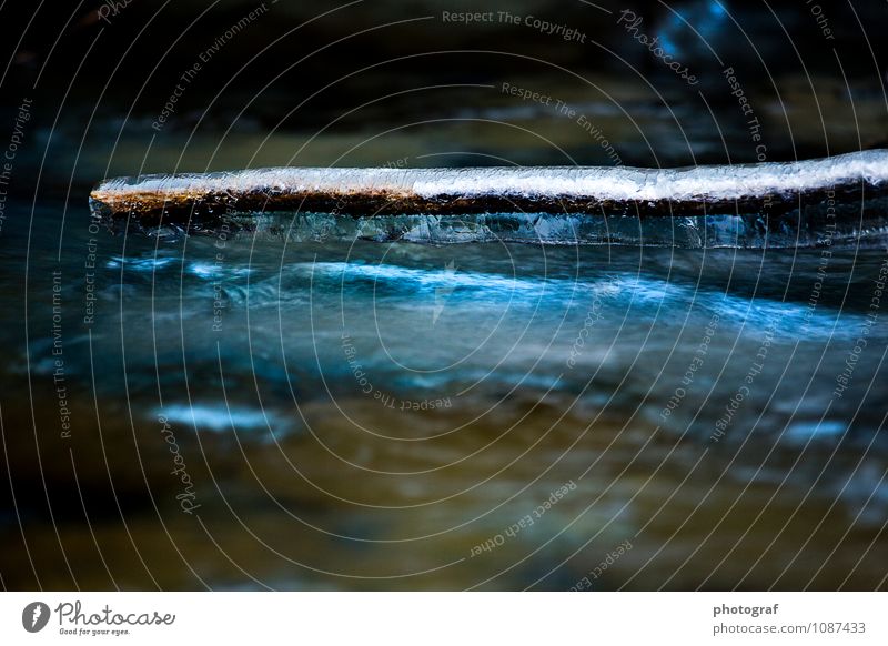 ice Life Art Nature Air Water Autumn Winter River Wood Glittering Growth Blue Spring fever Cold Calm Flow Frozen Icicle Ice droplets Colour photo Close-up