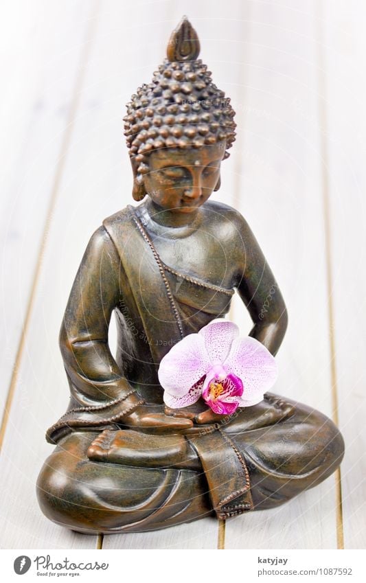 Buddha Buddhism Figure Orchid Statue Religion and faith Belief Siddhartha Calm Relaxation Face Asian Prayer Meditation Iconic Art Culture Clergyman Yoga Zen