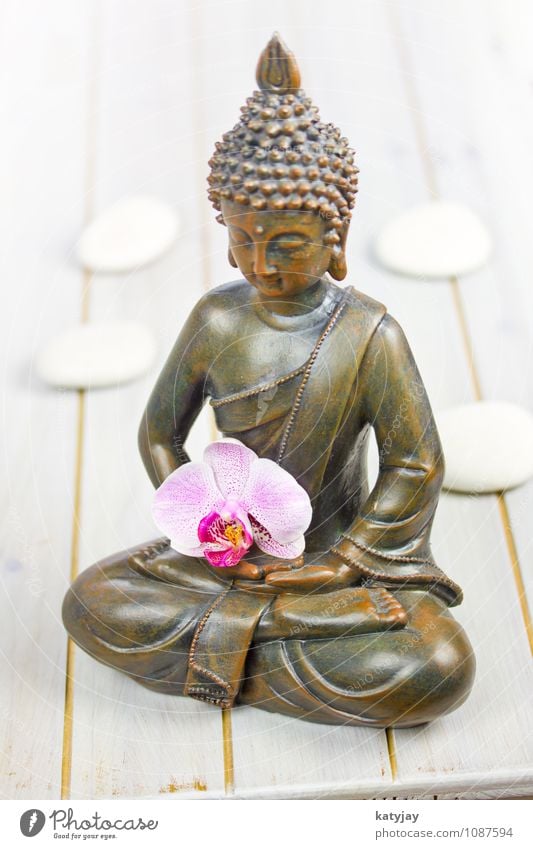 Buddha Buddhism Figure Orchid Statue Religion and faith Belief siddharta Calm Relaxation Face Asian Prayer Meditation Iconic Art Culture Clergyman Yoga Zen