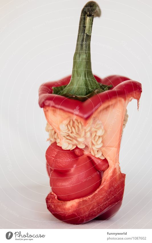 Alien - it's growing to 200!!! Pepper Threat Small Baby Mother Stalk Embryo Extraterrestrial being Green Red Pregnant Surrealism Art Creepy Disgust Fasting Diet