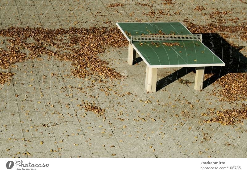 Autumn lies over the land Leaf Autumnal weather Playing Seasons Paving tiles Autumn leaves Deserted Gray table tennis Ping Pong Table Loneliness Net Shadow