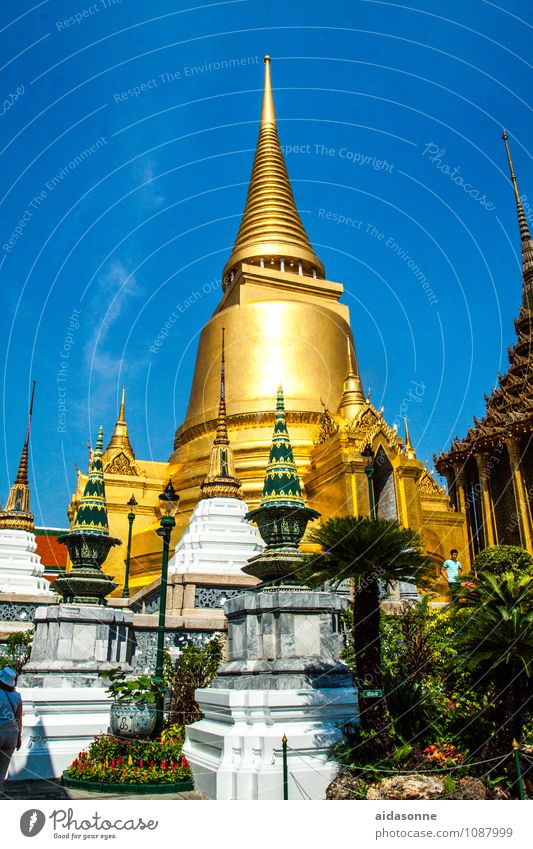 Wat Phra Town Capital city Downtown Old town Leisure and hobbies Peace Happy Vacation & Travel Trust Time Contentment Colour photo Deserted Sunlight