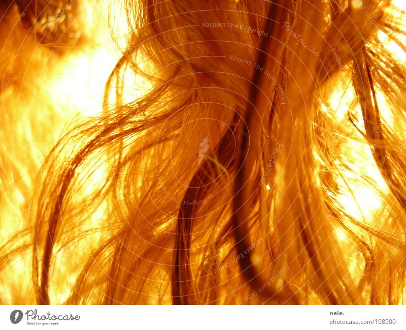the last finalized hairs Fetishism Blonde Lighting Hair and hairstyles Sun no split nele. Split hairs