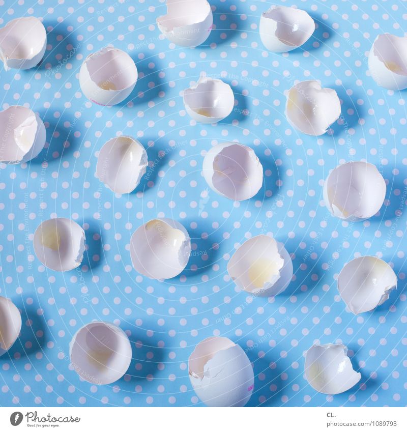 Of course, you're welcome. Food Egg Eggshell Nutrition Eating Breakfast Organic produce Point Blue White Colour Inspiration Creativity Super Still Life