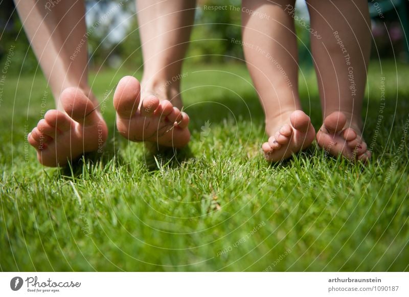 Feet barefoot in the meadow Lifestyle Pedicure Healthy Leisure and hobbies Freedom Summer Sun Garden Parenting Child Human being Masculine Feminine Young woman