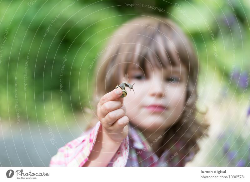 Child considers snail Summer Garden Human being Feminine 1 3 - 8 years Infancy Nature Snail Animal Observe Discover Concentrate look Research Fragile Study