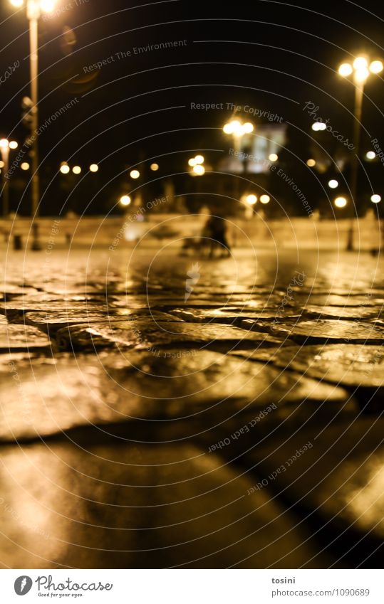 perspective Town Places Cold Paving stone Wet Lighting Lamp City life Urbanization Perspective Dark Worm's-eye view Rome Pavement Street lighting Night shot