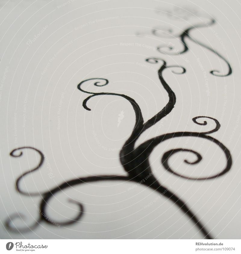 kringeling - painted around ... Black White Conceptual design Painting and drawing (object) Circle Curved Growth Tendril Delicate Fine Spirited Near Pen Paper