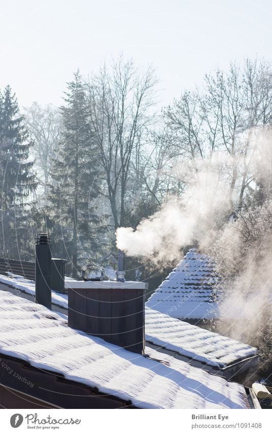 Chimney in the morning sun Life Winter Environment Exhaust gas Smoke Morning Roof Energy Freeze Heat Consumption Cold Smoking Heating Oil Warmth Seasons Sky