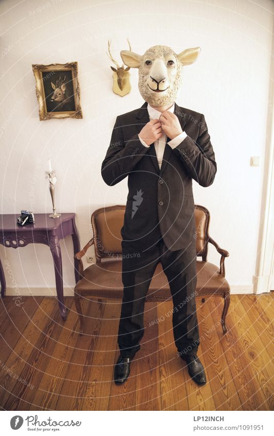 Sharp. XII Office work Services Stock market Business Career Success Closing time Masculine Man Adults 1 Human being Event Suit Sheep Living or residing Retro