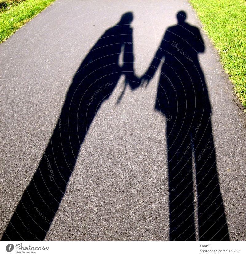 friendship Shadow play Green Meadow Sunlight Man Woman Together Love Lanes & trails Street Perspective Human being Couple Connection Divide prostrate sons