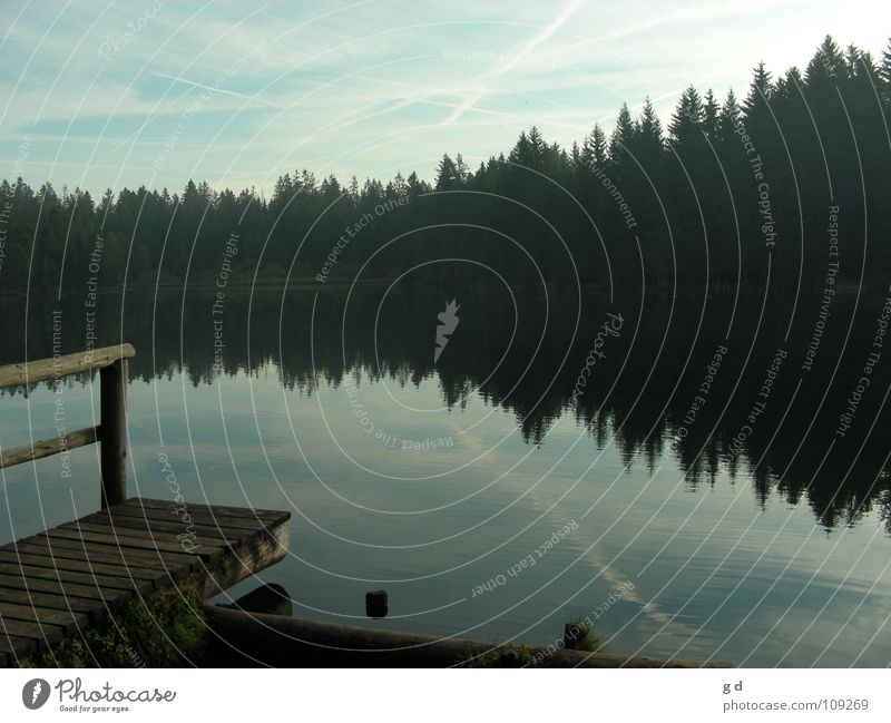 Etang de Gruère - Water Reflections I Lake Forest Wood Harmonious Autumn postcard mood