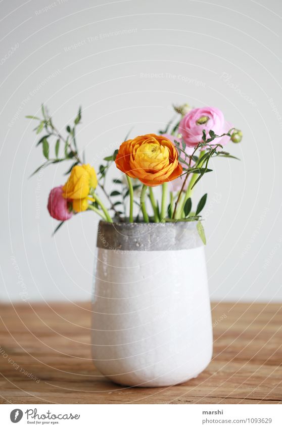 SPRING MESSENGERS Nature Plant Spring Flower Bushes Leaf Blossom Moody Decoration Bouquet Buttercup Vase Spring colours Spring fever Beautiful Colour photo