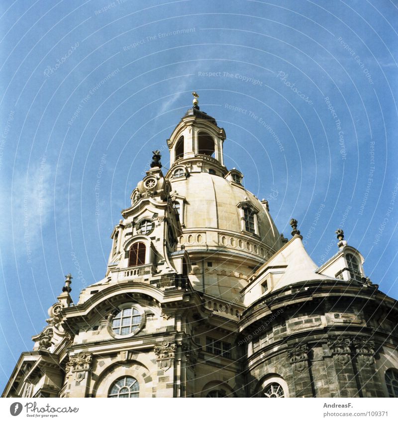 Church of Our Lady Dresden Saxony Domed roof Tower Tourism Sightseeing Art Attraction Tourist Attraction Summery Renewal Destruction War Monument Culture