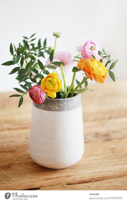 favourite flowers Nature Plant Spring Flower Blossom Foliage plant Pot plant Multicoloured Yellow Orange Pink Moody Vase Decoration Blossoming Bouquet
