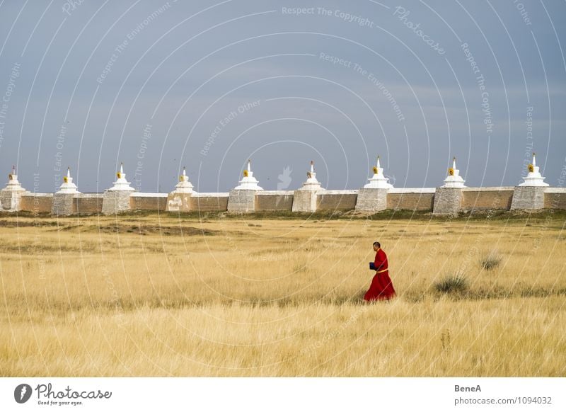 monk Calm Meditation Monk Human being Masculine Man Adults 1 Religion and faith Buddhism Temple Grass Park Meadow Church Wall (barrier) Wall (building)