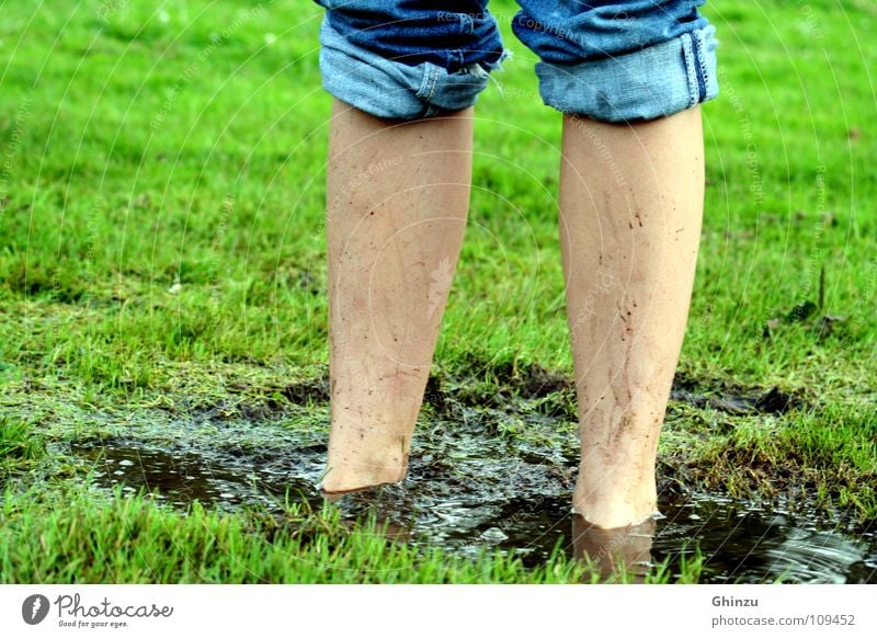Want some laundry? Meadow Mud Calf Reflection Green Exterior shot Brown Grass Puddle Leisure and hobbies Water Jeans Legs Brave Dirty Blue Rain