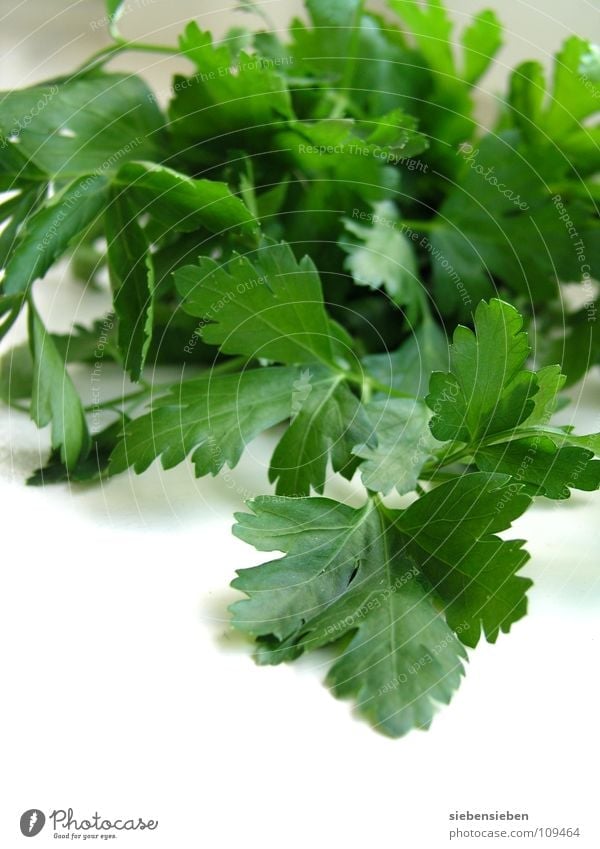 ingredient Parsley Herbs and spices Cooking Nutrition Kitchen Healthy Refine Plant Fresh Herb garden Food Gastronomy Household Vegetable Aromatic Delicious