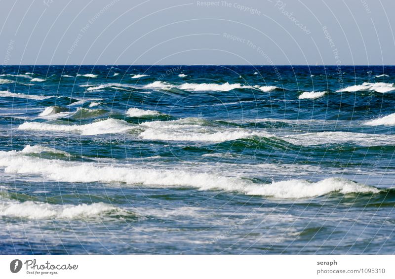 Waves Water Beach Baltic Sea Nature Ocean Coast Maritime Foam Flood Crest of the wave Tidal wave Movement Background picture Structures and shapes Wavy line