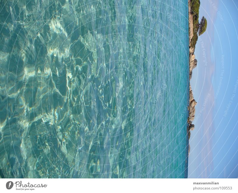 *BAY WATCH* Tree Ocean Beach Vacation & Travel Corsica Bay Water Sand Blue