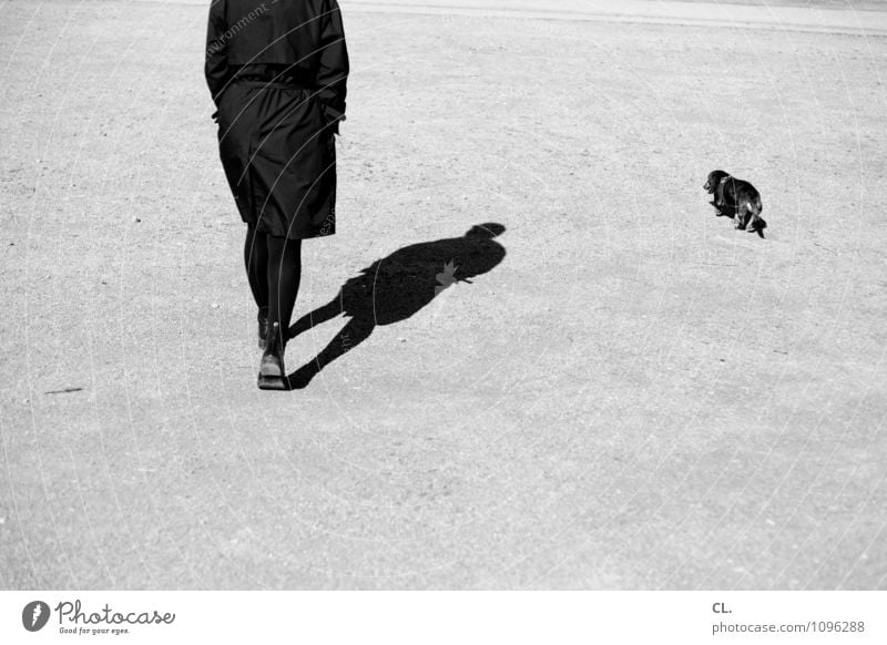 amble Human being Feminine Woman Adults Life 1 30 - 45 years Beautiful weather Pedestrian Lanes & trails Animal Pet Dog Dachshund Going Friendship