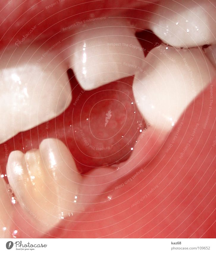 gap between one's teeth Empty Tooth space Lips Child Milk teeth White Red Gum Skeleton Places New Background picture Development Growth Joy kaz68 Gap Mouth