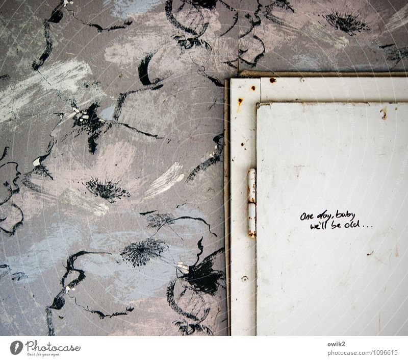 insight Wall (barrier) Wall (building) Door Wallpaper Wallpaper pattern Doorframe Hinge Characters English Old embolden Clue cursive Scribbles lost places