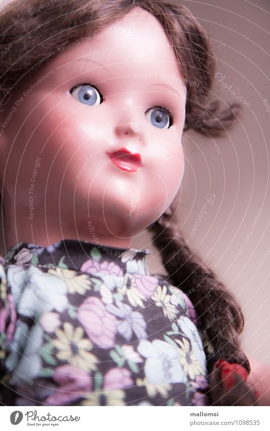 old doll with pigtails and a stare Feminine Infancy Old Dream Sadness Grief Loneliness Senior citizen Doll doll's face Doll's eyes Past Transience Gaze