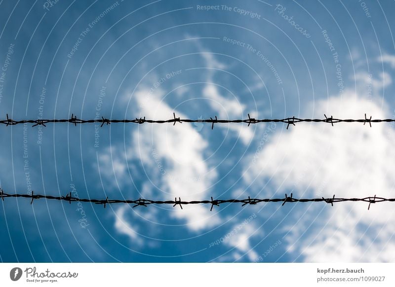 blunt Sky Barbed wire Safety Pain Fear of the future Dangerous Bans Fence Blue Barrier Closed Horizontal Line Colour photo Exterior shot Deserted Copy Space top