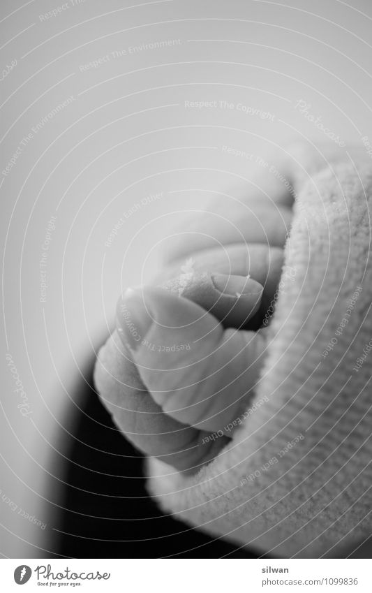 little hand Hospital Feminine Baby Hand Fingers 1 Human being 0 - 12 months Touch Esthetic Fresh Beautiful Natural New Gray Black White Contentment Uniqueness