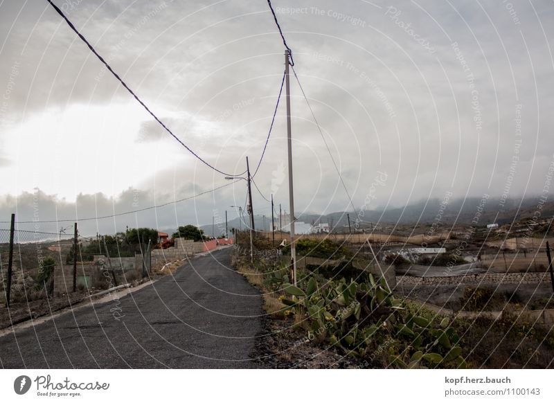 way home Landscape Air Clouds Bad weather Fog Mountain Arico Tenerife Village Traffic infrastructure Street Lanes & trails Dangerous Apocalyptic sentiment