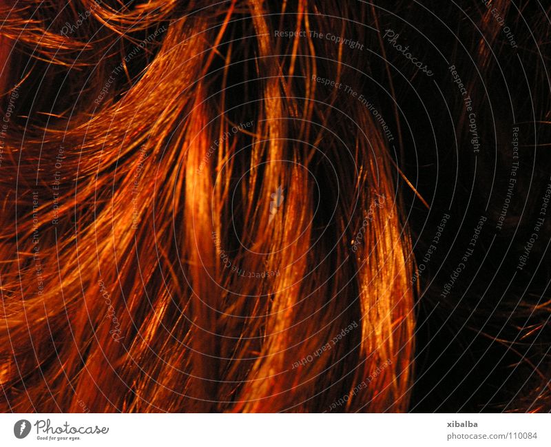 fiery red Red Curl Strand of hair Glittering Colour Hair and hairstyles chimer Orange
