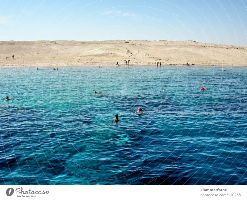 Planet of the Monkeys Ocean Dive Desert Water Human being Swimming & Bathing Beach dune