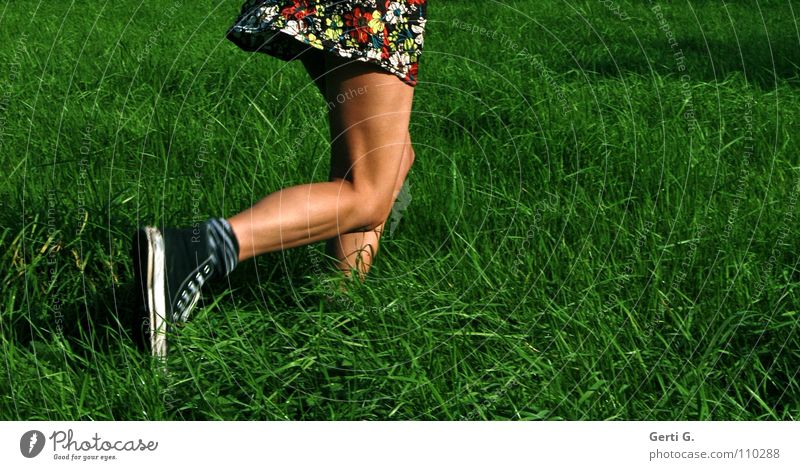 let run Jogging Dress Woman Young woman Thin Firm Wiry Healthy Leisure and hobbies Meadow Hundred-metre sprint Running Brown Summer Summery Juicy Walking Knee