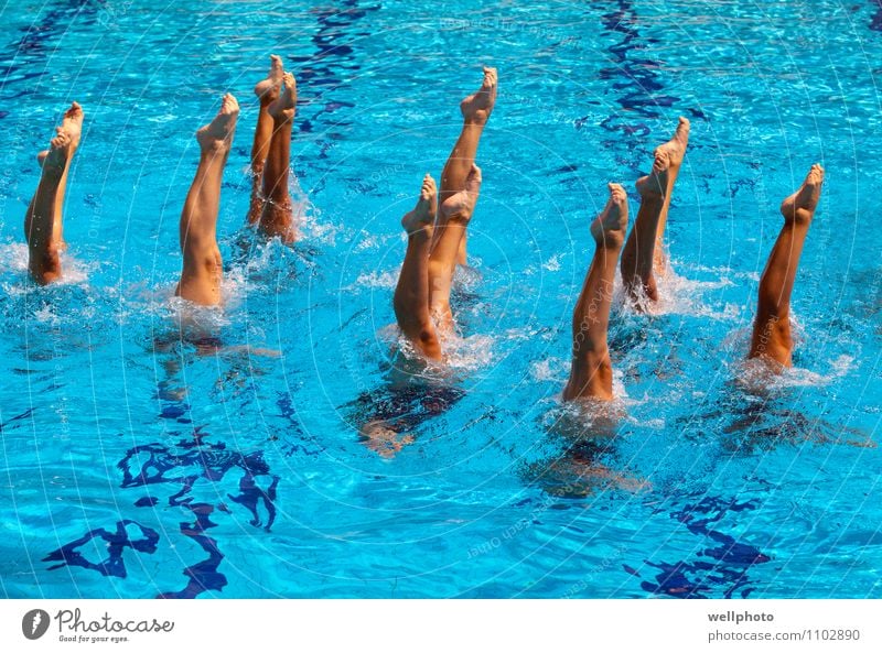 Synchronized swimming Lifestyle Swimming pool Dance Sports Sports team Dive Girl Woman Adults Feet Drop Breathe Fitness Swimming & Bathing Playing Wet Blue