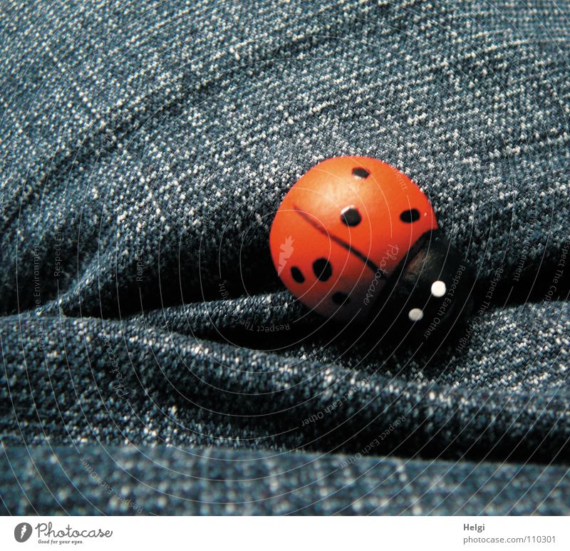 small wooden ladybird lies on blue denim Ladybird Jeans Denim Cloth Red Black White Good luck charm Congratulations Wood Painted Decoration Joy Beetle Happy