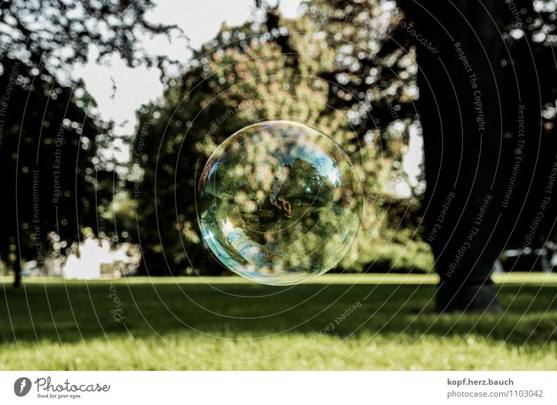 The world is a soap bubble Environment Flower Park Drop Dream Thin Free Hope Belief Longing Variable Drug addiction Uniqueness Discover Freedom Contentment