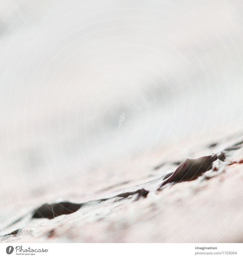 snow-covered landscape Art Painting and drawing (object) White Calm Longing Hope Creativity Innocent Still Life Colour photo Macro (Extreme close-up) Abstract